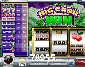 Descubra o Mundo do Cassino Online com 78955